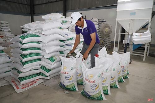 Công ty TNHH Khoa học và công nghệ An Phát đã cung cấp gạo cho nhiều doanh nghiệp lớn trên địa bàn tỉnh.