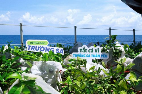 Những cây chanh trên tàu 571 ra các điểm đảo của đặc khu Trường Sa. Ảnh: Minh Tuấn