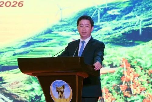 Thứ trưởng Bộ KH&CN Bùi Hoàng Phương phát biểu tại hội nghị.