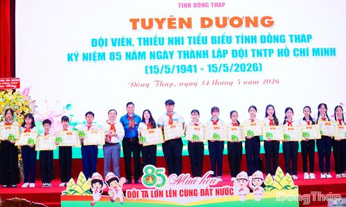 Tuyên dương đội viên, thiếu nhi tiêu biểu có thành tích xuất sắc trong công tác Đội và phong trào thiếu nhi.