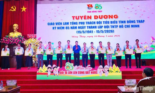 Ban Thường vụ Tỉnh đoàn tuyên dương các giáo viên Tổng phụ trách Đội đạt giải thưởng “Cánh én hồng” cấp tỉnh năm học 2025 - 2026.