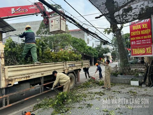 Nhân viên Chi nhánh thoát nước đô thị cắt tỉa cây trên địa bàn phường Tam Thanh