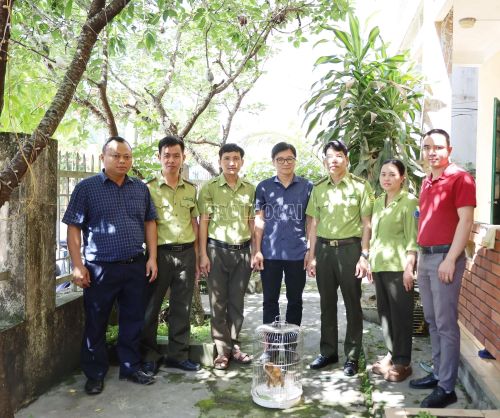 UBND xã Mường Khương bàn giao cá thể cu li cho Trung tâm Du lịch và Bảo tồn sinh vật Hoàng Liên để cứu hộ, chăm sóc.