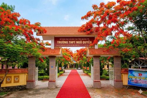 Với tuổi học trò, mùa phượng còn là mùa thi - Ảnh: Nh.V