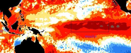 El Nino có khả năng quay trở lại trong những tháng tới, mang theo thời tiết nóng và khô hơn tại Đông Nam Á