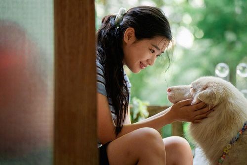 Hình ảnh trong phim