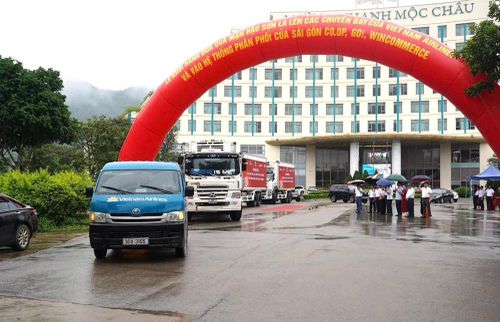 Ngay sau buổi lễ, hơn 1 tấn mận hậu của tỉnh Sơn La đã được xuất hành đến nơi tiêu thụ