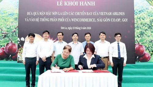 Ký kết hợp tác giữa Sài Gòn Co.op và HTX Kiên Cường, Phiêng Khoài