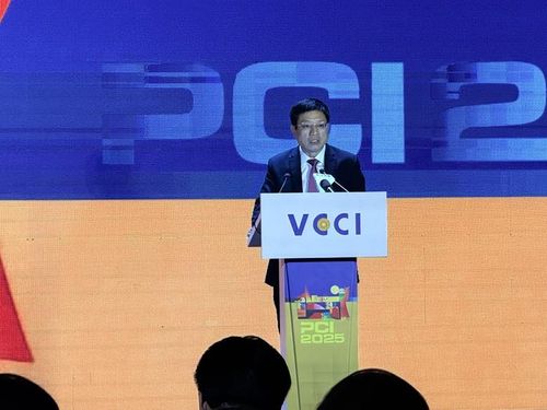 Ông Hồ Sỹ Hùng, Chủ tịch VCCI phát biểu - Ảnh: VGP