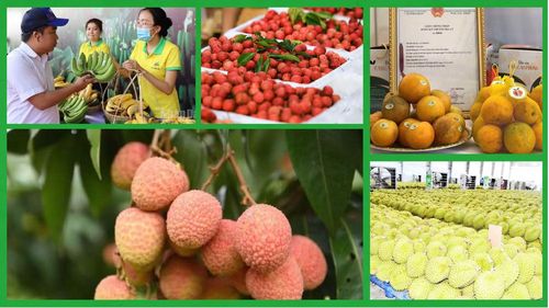 Việt Nam thuộc nhóm quốc gia xuất khẩu nông sản hàng đầu thế giới.