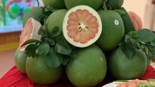 Quả bưởi của Việt Nam được phép nhập khẩu vào Hàn Quốc.
