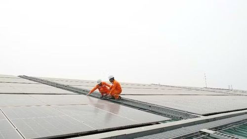 1.224 khách hàng đã lắp đặt điện mặt trời mái nhà với tổng công suất hơn 92,95 MWp tại tỉnh Ninh Bình.