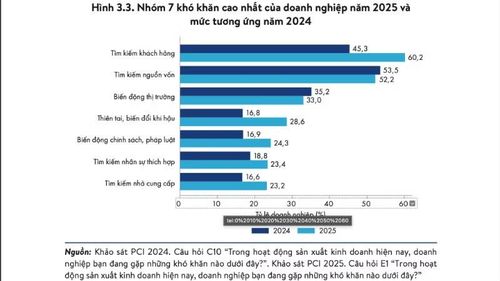 Nguồn: VCCI