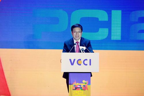 PGS.TS Hồ Sỹ Hùng, Chủ tịch VCCI.