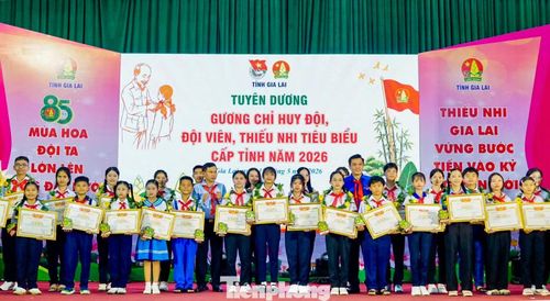 Dịp này, Tỉnh Đoàn Gia Lai tuyên dương 85 gương cán bộ Chỉ huy Đội, đội viên, thiếu nhi tiêu biểu.
