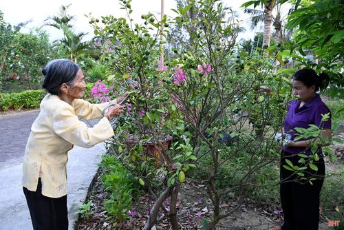 Dù tuổi đã cao, nhưng cụ Viện và cụ Châu vẫn luôn sống gương mẫu, tích cực làm vườn, tạo động lực cho con cháu phát triển kinh tế gia đình.