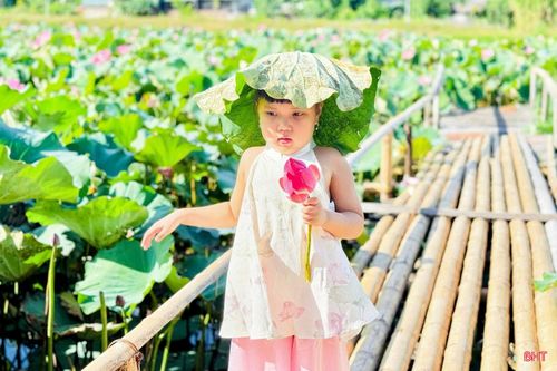 Những khoảnh khắc hồn nhiên, đáng yêu của các bé bên đầm sen góp phần làm bức tranh mùa hè thêm sinh động. Đây cũng là dịp để phụ huynh dạy con về tình yêu thiên nhiên, biết trân trọng và cảm nhận vẻ đẹp thiên nhiên xung quanh mình.