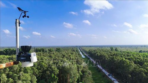Tỉnh Cà Mau đã chủ động tăng cường ứng dụng công nghệ hiện đại để phát hiện sớm, phản ứng nhanh với các tình huống cháy rừng.