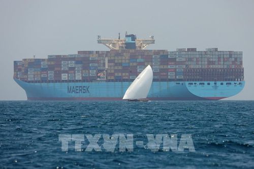 Tàu chở hàng hóa của hãng vận tải Maersk. Ảnh: AFP/TTXVN