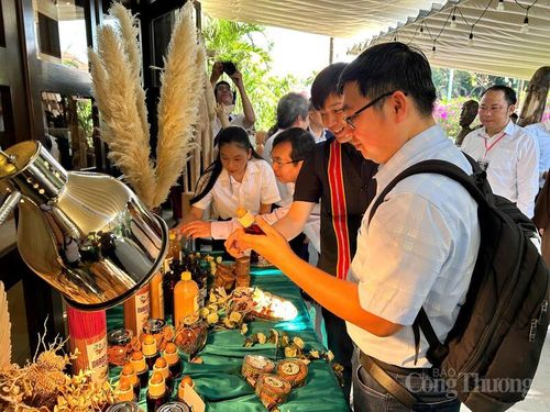 Triển lãm, giới thiệu các sản phẩm từ quế Trà My