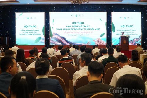 Hội thảo “Hành trình quế Trà My: Từ giá trị lịch sử đến phát triển bền vững”.