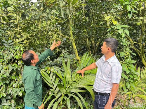 Cán bộ Phòng Kinh tế, UBND xã Mường Ảng gặp gỡ, trao đổi với người dân.