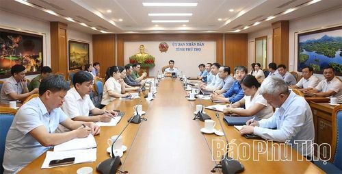 Các đại biểu dự tại điểm cầu UBND tỉnh.