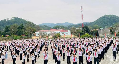 Toàn tỉnh Thái Nguyên hiện có 92 Hội đồng Đội xã, phường và 544 liên đội trường học với hơn 260 nghìn thiếu nhi tham gia sinh hoạt.