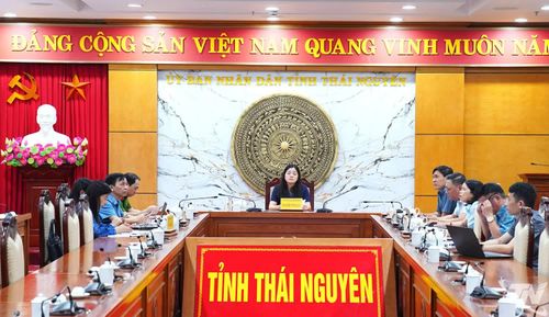 Các đại biểu dự Hội nghị tại điểm cầu Thái Nguyên.