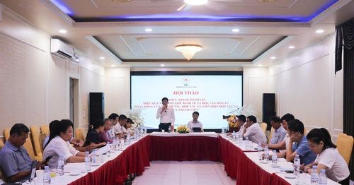 Toàn cảnh hội thảo.