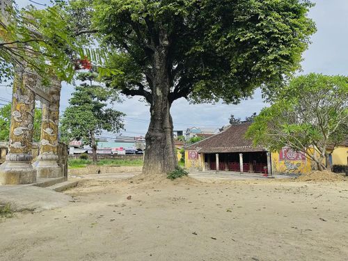 Đình làng Dương Nỗ, nơi Bác Hồ thường ra ngồi học, vui chơi và tìm hiểu về lịch sử ngôi đình cũng như đời sống văn hóa tinh thần của nhân dân trong làng...