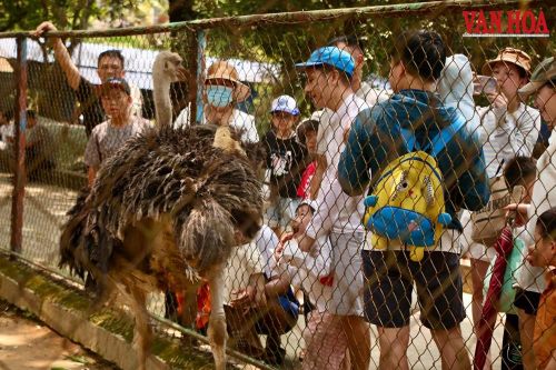 Nhiều điểm vui chơi, tham quan thu hút các bạn trẻ tìm đến trải nghiệm, chiêm ngưỡng