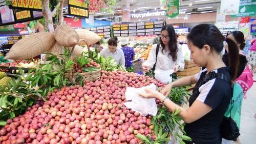 Mận hậu Sơn La được bán với giá ưu đãi thấp hơn thị trường đến 50% tại hệ thống Co.opmart, Co.opmart Pro, Co.opXtra, Co.op Food, Finelife…