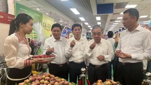 Ủy ban nhân dân tỉnh Sơn La giới thiệu mận hậu Sơn La tại siêu thị Co.opmart Lý Thường Kiệt (Thành phố Hồ Chí Minh).