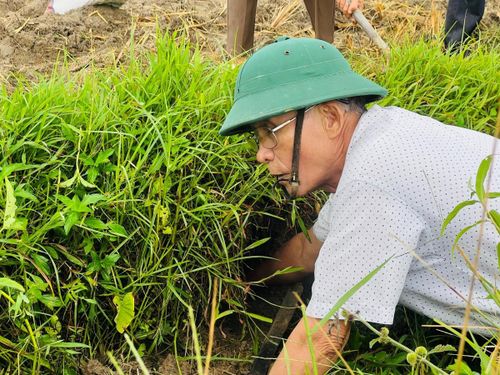 Cuộc thi có ý nghĩa quan trọng để bảo vệ vụ lúa trong thời gian đến.