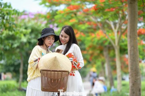 Chị Hoàng Thảo đến từ Bắc Ninh biết tới địa điểm này sau khi xem video trên mạng xã hội. “Đường không dài nhưng lên hình rất đẹp vì hoa nở đều, màu nổi bật. Đứng ở đâu cũng có thể chụp được ảnh”, chị nói.