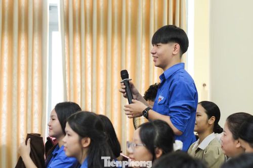 Chia sẻ với chuyên gia về các ý tưởng dự án.
