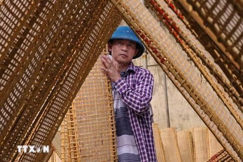 Những phên bánh đa được dựng thành hàng, tận dụng tối đa ánh nắng tự nhiên để làm khô sản phẩm. (Ảnh: Hà Anh/TTXVN phát)