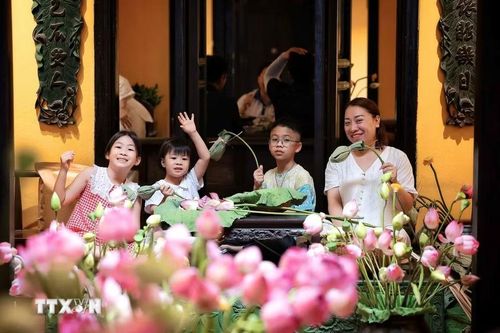 Nhiều gia đình cho trẻ nhỏ đến trải nghiệm ướp trà trong búp sen, góp phần lan tỏa nét đẹp văn hóa truyền thống tới thế hệ trẻ. (Ảnh: Phạm Tuấn Anh/TTXVN)