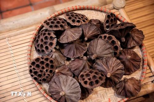 Những đài sen khô được giữ lại để phục vụ trang trí. (Ảnh: Phạm Tuấn Anh/TTXVN)