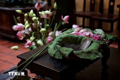 Không gian trải nghiệm làm trà sen tạo điểm nhấn đậm chất Hà Nội trong sự kiện “Hương sen lối cũ - Mùa 3”. Ảnh: Phạm Tuấn Anh - TTXVN)