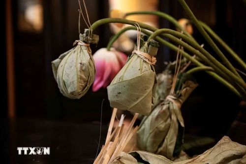 Sau khi “ướp xổi”, những bông sen sẽ được cắm lại vào bình ướp sau 3 ngày, giúp hương sen thấm nhẹ vào từng cánh trà. (Ảnh: Phạm Tuấn Anh/TTXVN)