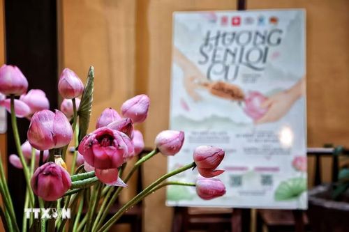 Không gian giới thiệu sự kiện “Hương sen lối cũ - Mùa 3” với hình ảnh sen Tây Hồ - biểu tượng của nét thanh tao trong văn hóa Hà Nội. (Ảnh: Phạm Tuấn Anh/TTXVN)
