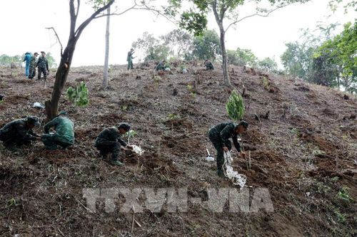 Trong ảnh: Mô hình "Vườn kiểu mẫu" do các Đồn Biên phòng phối hợp với các xã trên địa bàn tỉnh Lạng Sơn triển khai tạo nên những “cột mốc xanh” nơi biên cương. Ảnh: Văn Đạt - TTXVN 