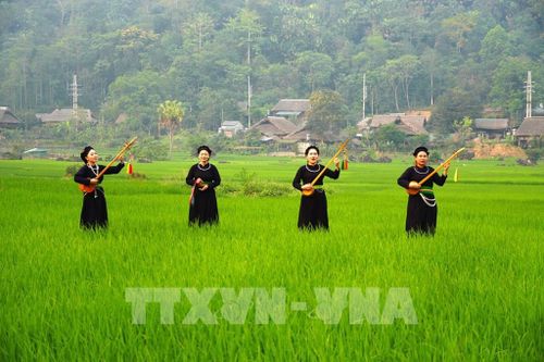 Nghệ thuật hát Then, đàn tính trở thành sản phẩm văn hóa phục vụ du lịch cộng đồng tại thôn Tha, phường Hà Giang 1, tỉnh Tuyên Quang. Ảnh: Minh Tâm-TTXVN