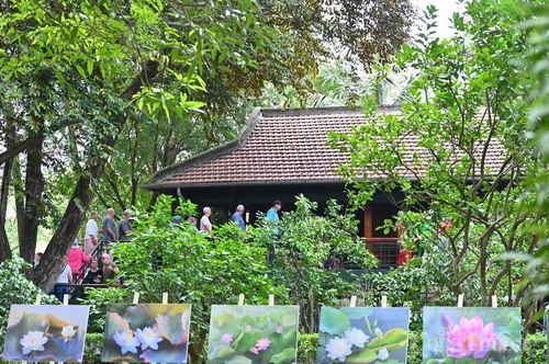 Cây vú sữa (góc trái ảnh) được trồng bên góc nhà sàn. Ảnh: Nam Nguyễn