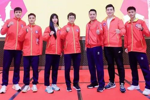 Tuyển Wushu Việt Nam tại Cúp tán thủ Thế giới 2026