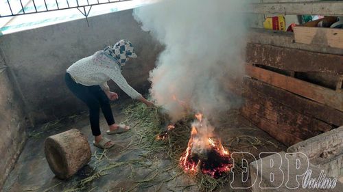 Sau khi thực hiện các biện pháp khử trùng theo hướng dẫn, người dân xã Sam Mứn đốt thêm rơm khu vực chuồng trại.