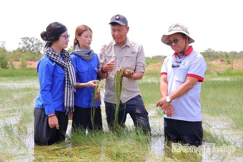 Tiến sĩ Trần Triết (thứ 2 từ phải sang) chia sẻ với sinh viên về vai trò của năng kim trong hệ sinh thái đất ngập nước và chuỗi thức ăn của sếu đầu đỏ tại Vườn Quốc gia Tràm Chim.
