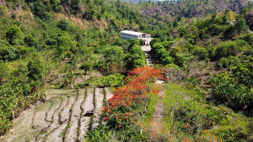 Vẻ đẹp hòa quyện giữa thiên nhiên và dấu chân con người giữa đại ngàn. Ảnh: Duy Maya